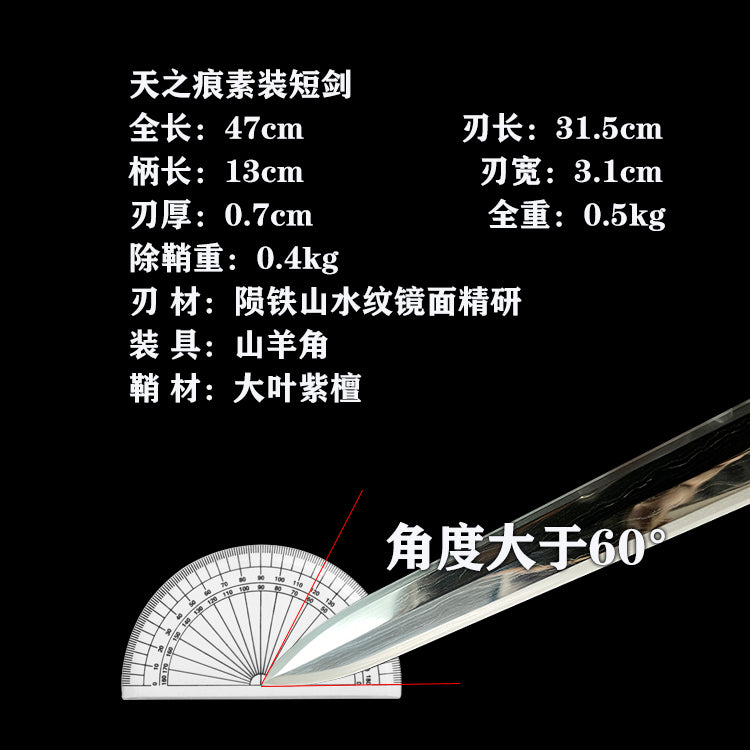 龙泉一体剑素装短剑陨铁山水镜面汉剑长剑中国
